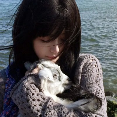 红杏劫粤语